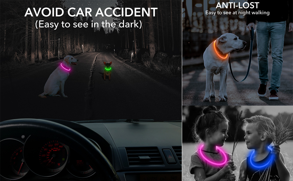 led dog collar