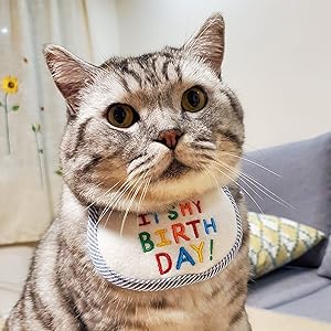 Amazon | ZHEJIA ペット よだれかけ 犬 猫 ペット 誕生日