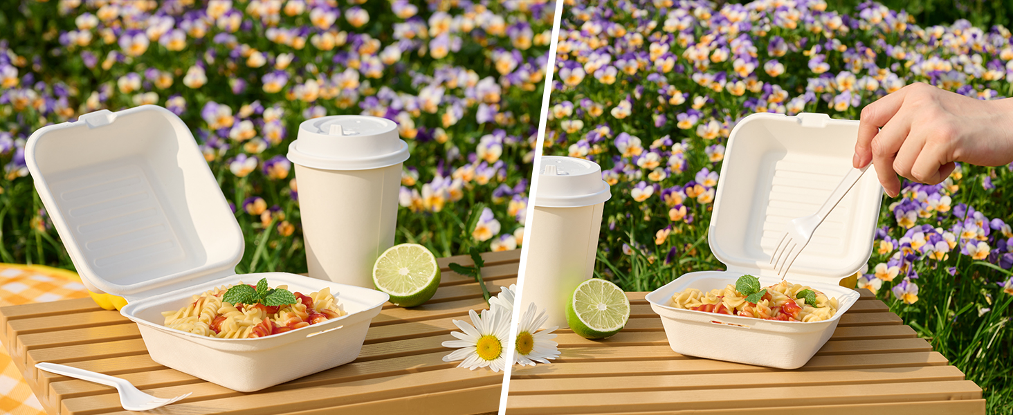 Disposable To Go Containers