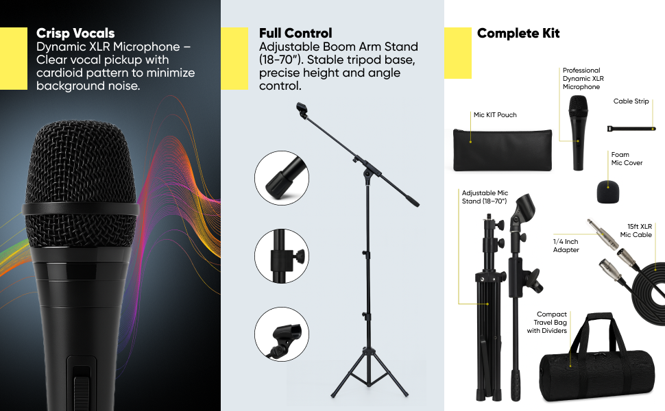 Microphone and mic stand