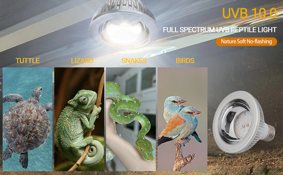 led uvb reptile light