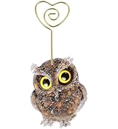 rockcloud Natural Tiger's Eye Crystal Owl Table Card Holder Heart Shaped Cute Animals Resin Table...