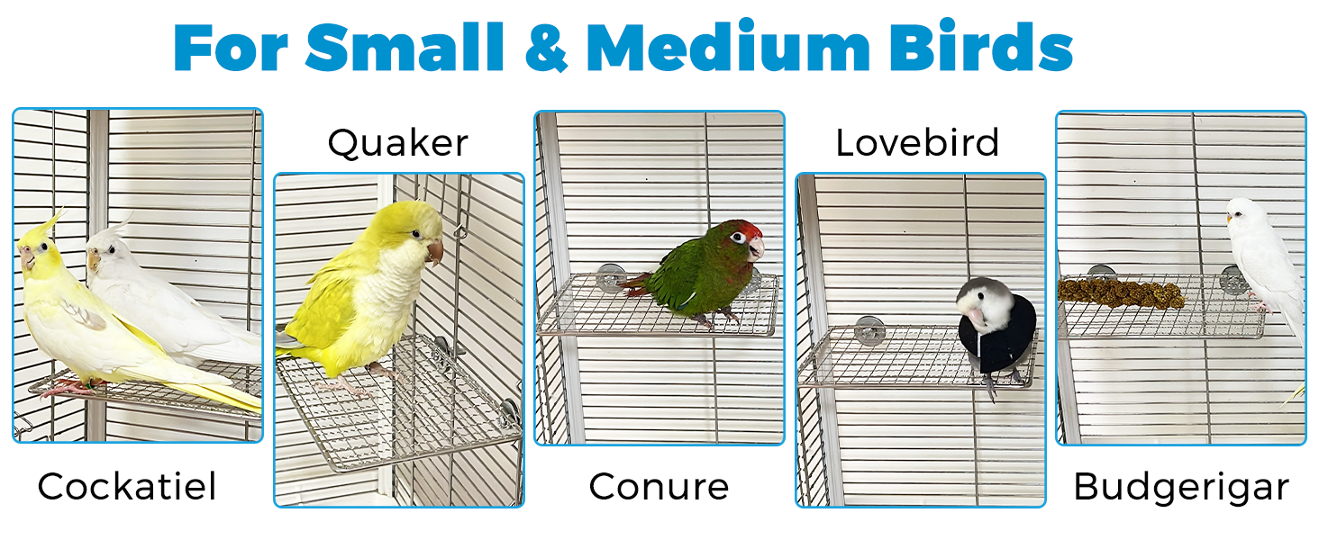 cockatiel perch for cage