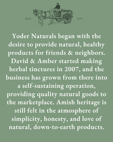 yoder good health recipe organic natural apple cider vinegar tonic antioxidants non toxic immune