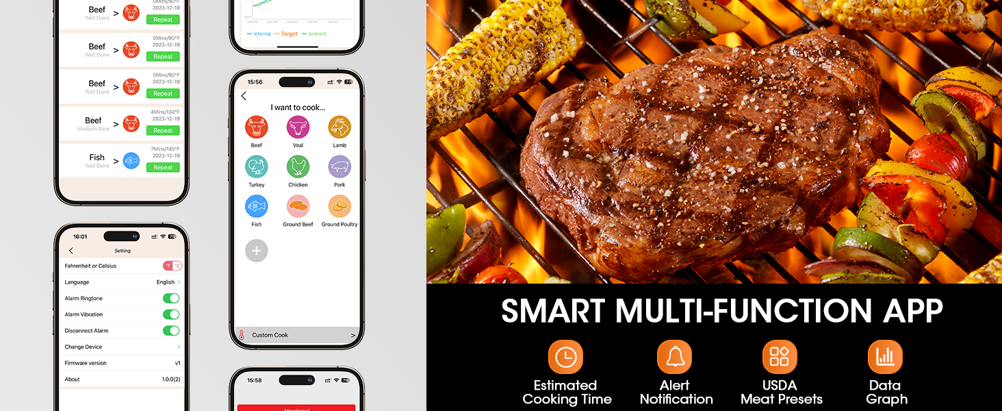 wireless meat thermometer