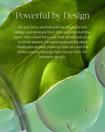 tata harper, premium beauty, luzury skincare, natural skincare, clean skincare