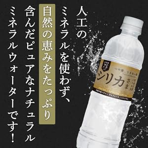 シリカさま専用　２枚クール便 シリカさま専用 2枚クール便 要冷蔵】 明治ミルクで元気 （宅配