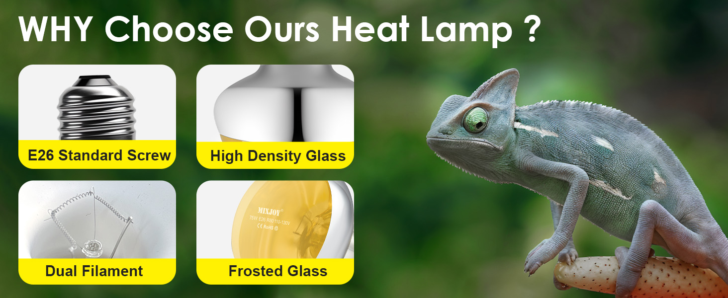 basking bulb for bearded dragon