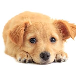 Small manufacture image 8