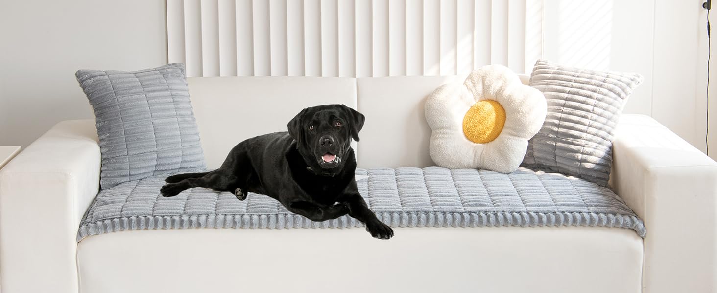 light grey couch cover