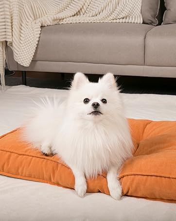 cat bed cat beds outdoor dog crate bed pet bed puppy bed dog mat kennel pad