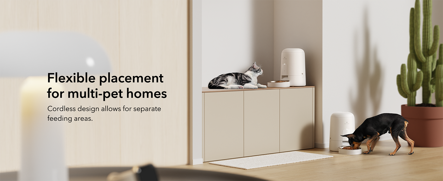 alimentador automático para gatos