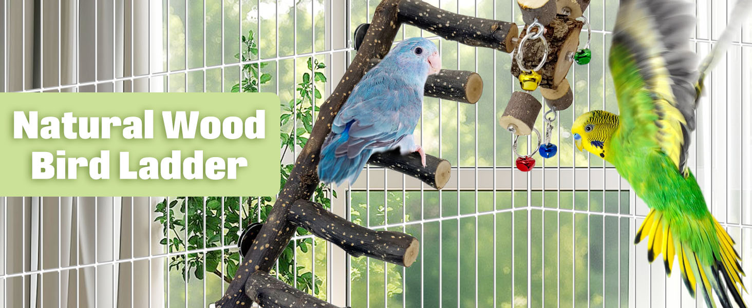 Wooden bird ladder with rotating bell toys enriches playtime, environment via climbing