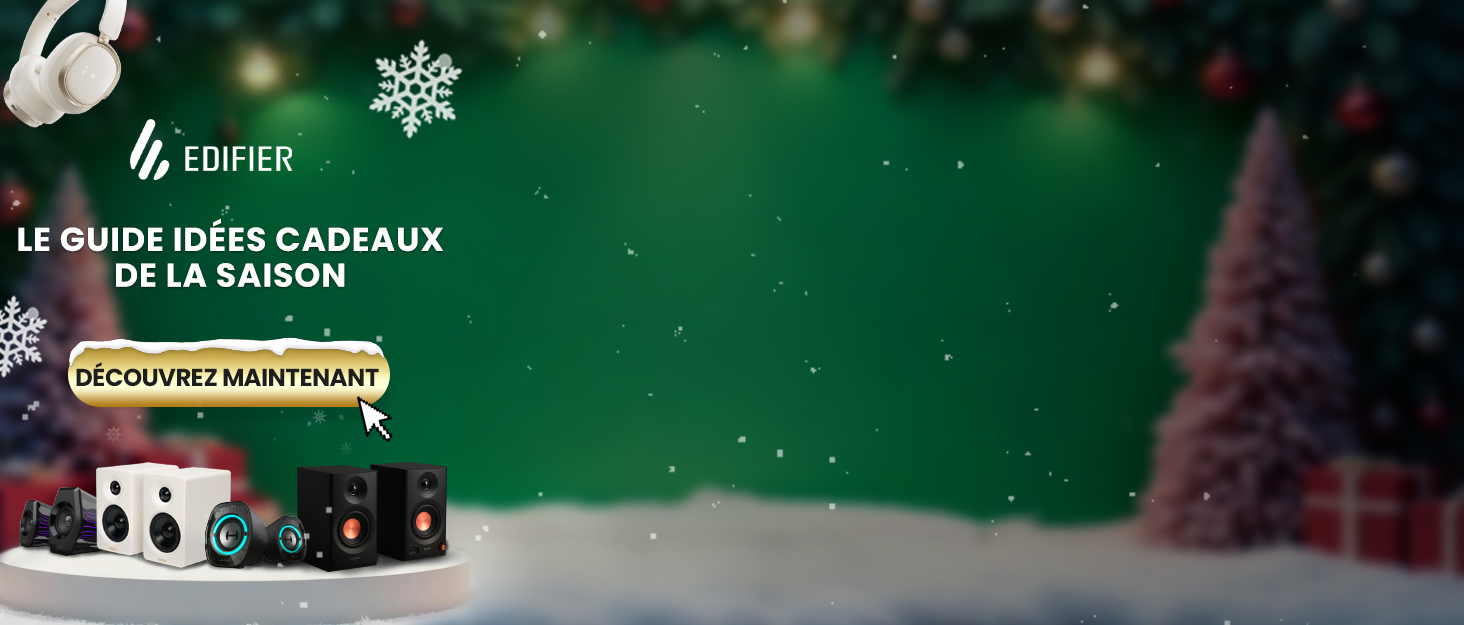 Le texte se lit comme suit : « LE GUIDE IDÉES CADEAUX DE LA SAISON ». Image marketing avec des graphismes en forme de flocon de neige sur fond vert.