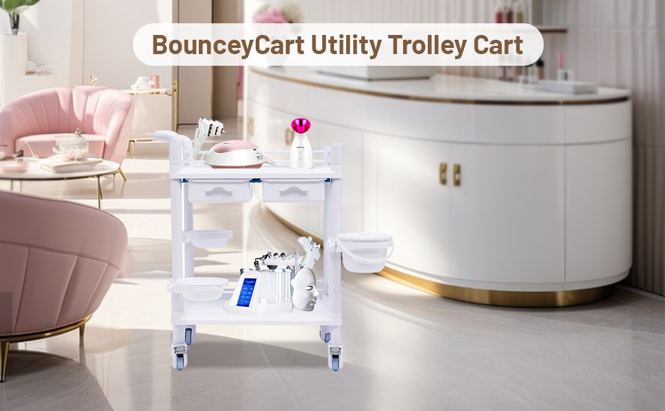 Rolling Utility Cart, 2Tier Esthetician Cart Spa Salon