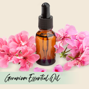 Geranium Essential Oil 