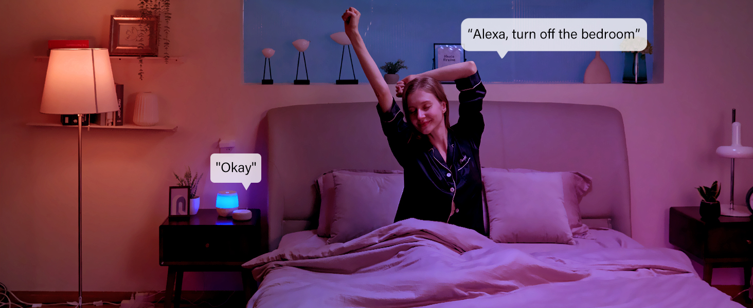 Alexa Light Bulb