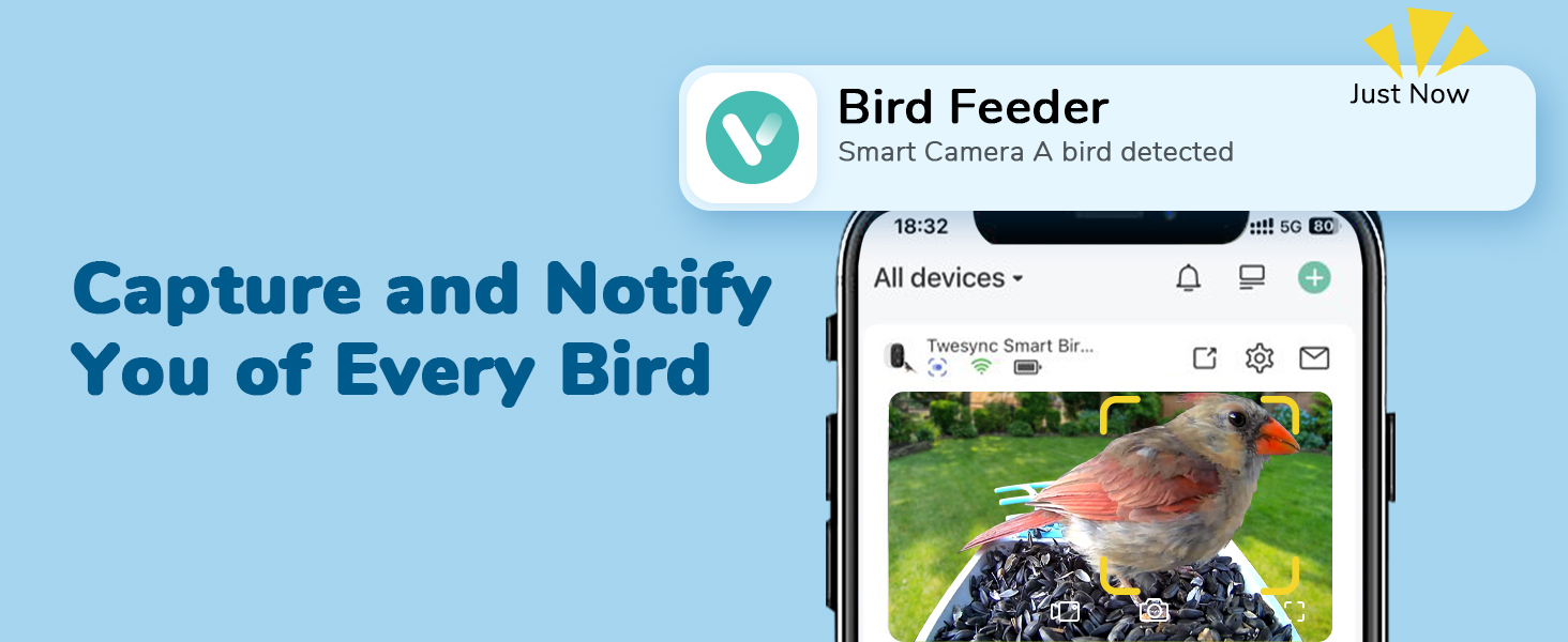 Bird Feeder with Camera