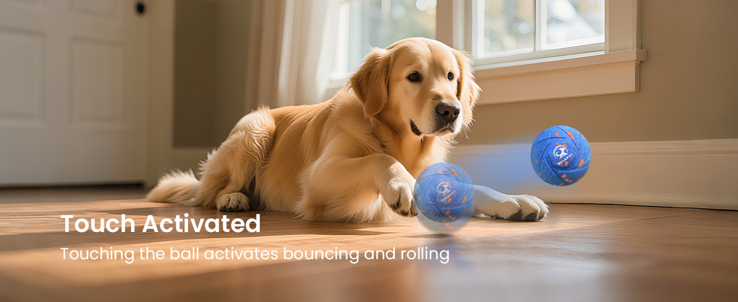 Interactive Dog Toy Ball