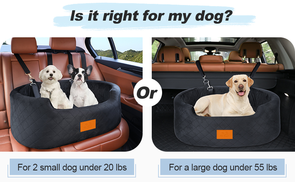 Car seat comparison for dogs: left shows dual-seat for two small dogs under 20 lbs, right shows single seat for large dog under 55 lbs.