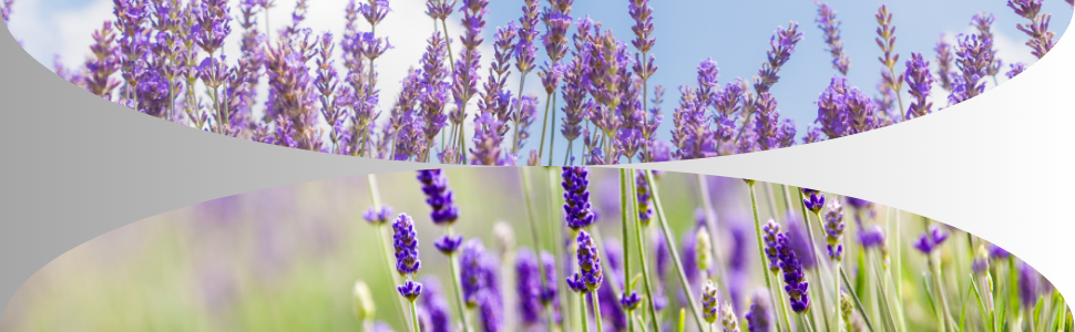 Large manufacture image 7