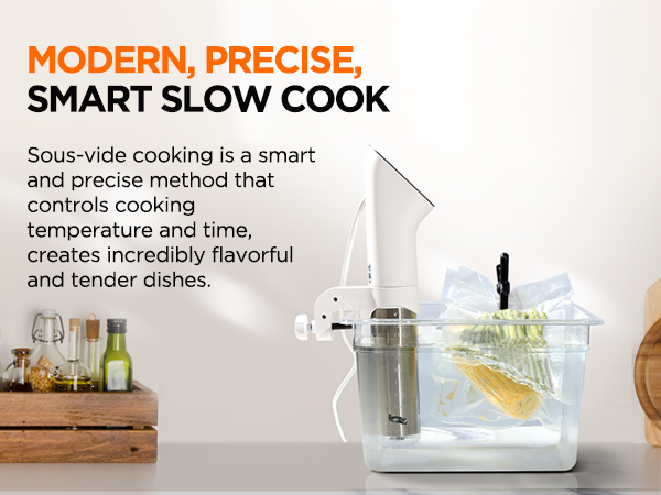 WEVAC 低温調理器 SV81j 100V 50/60Hz 1100W Amazon.com: Vacuum