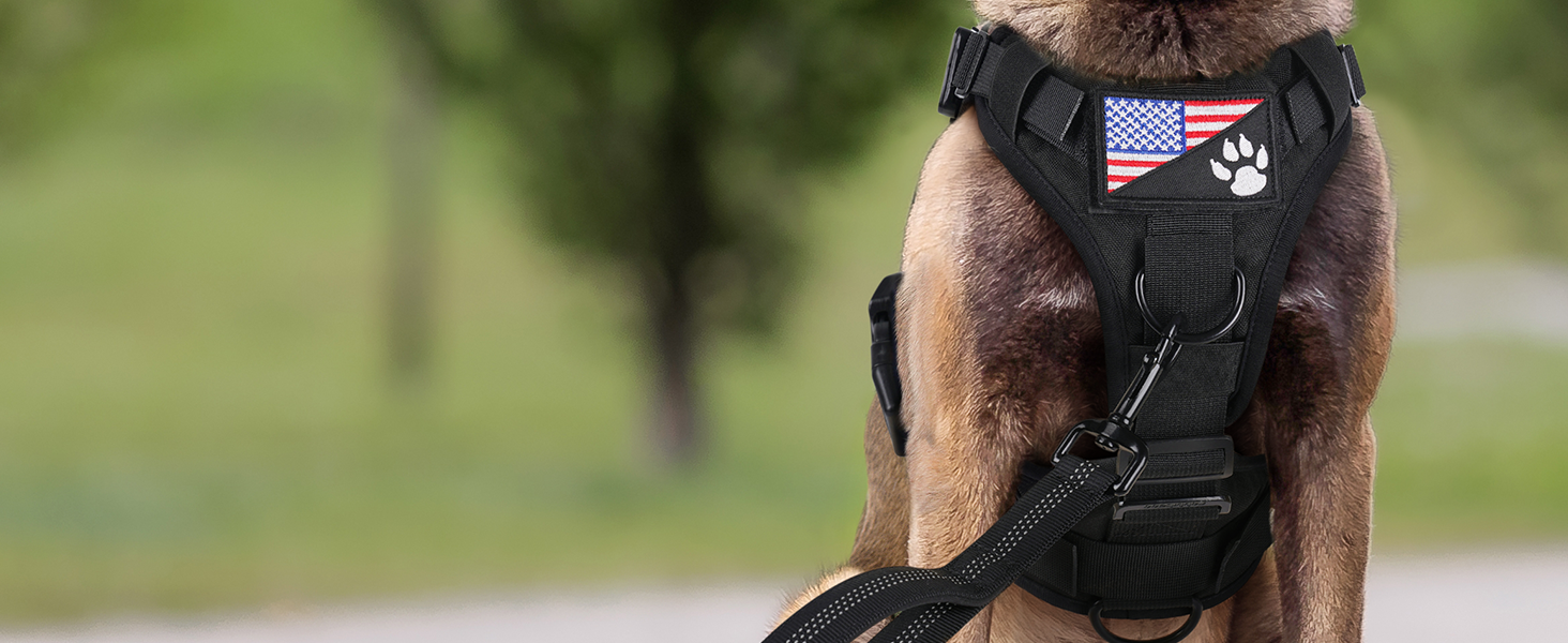 dog harness