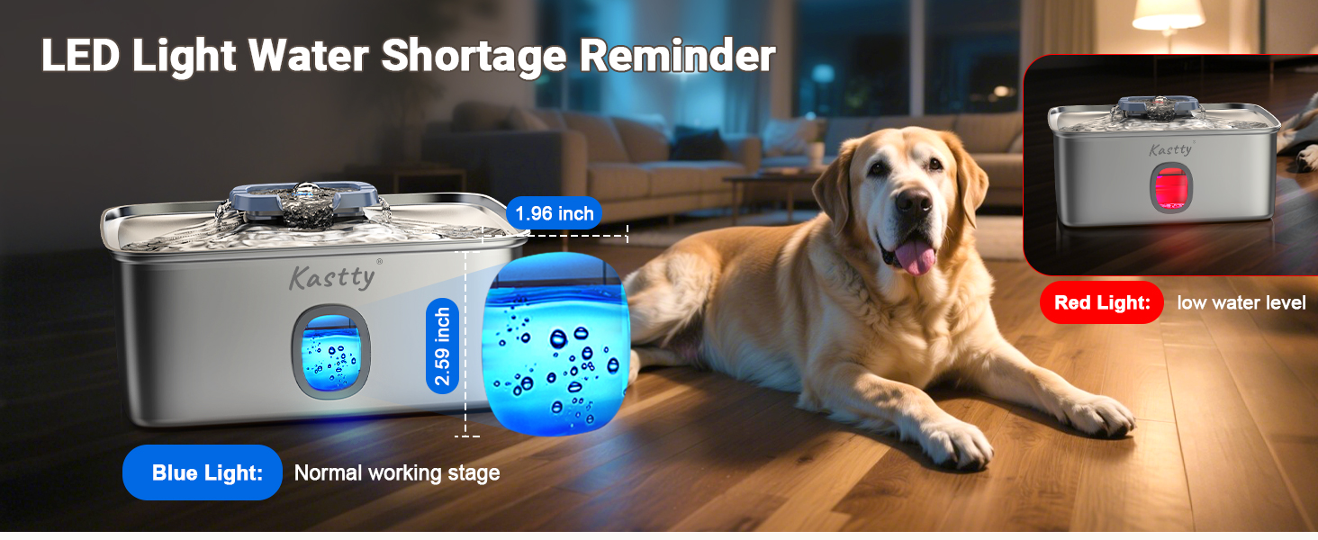 water dispenser for dogs