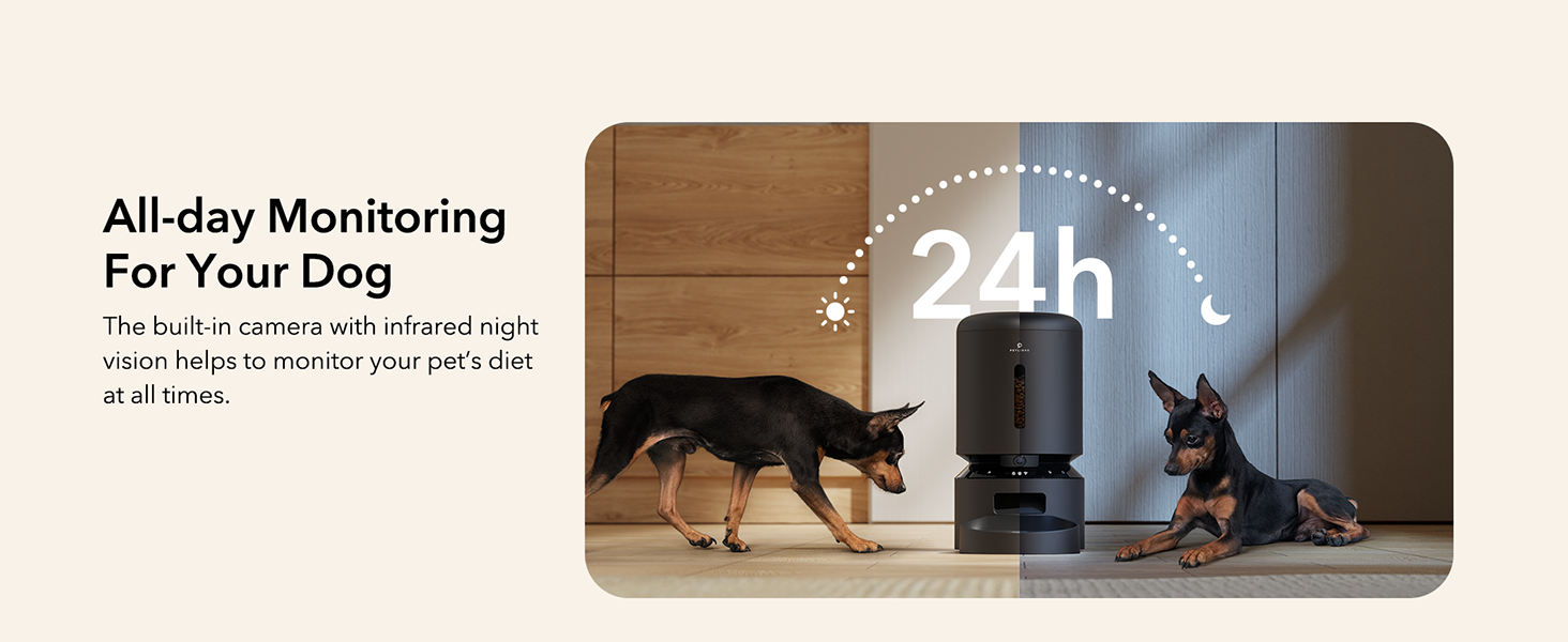 Comedero automático para perros con cámara