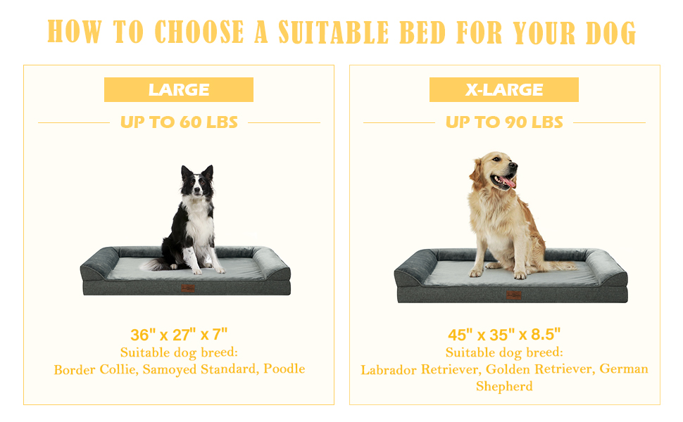 Comfort Expression Washable Dog Bed, Dog Beds for Large