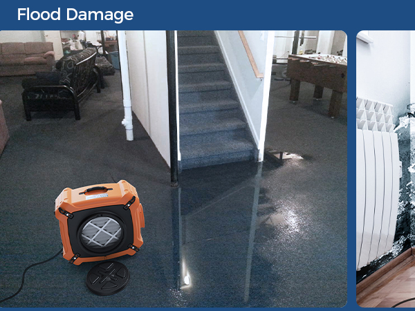 air scrubber for mold