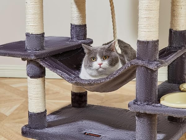 置物 maocat Amazon.com : Taoqimiao 76-Inch Cat Tree Cat Tower for Indoor