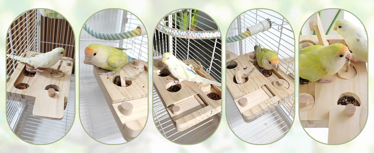 Bird Wooden Puzzle Foraging Toy