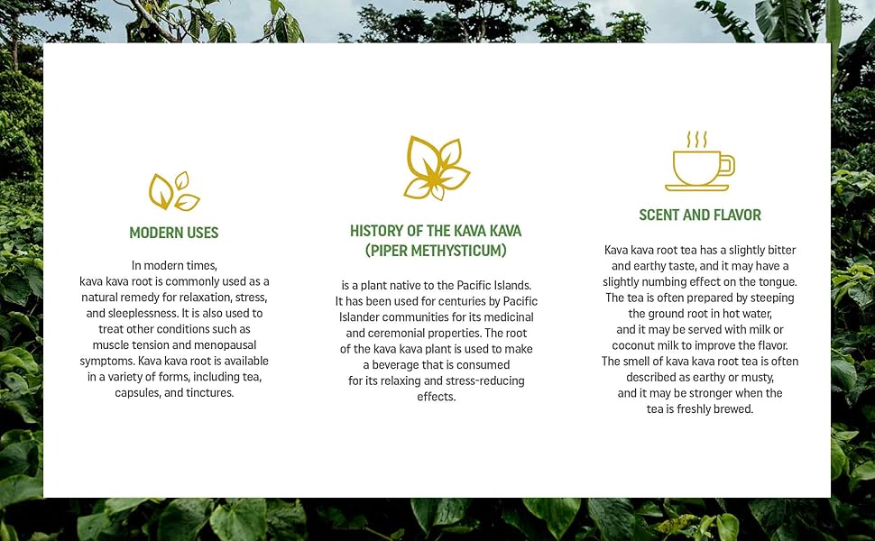 Kava Kava Root Teabags Pure Kava Kava Tea 100 Natural