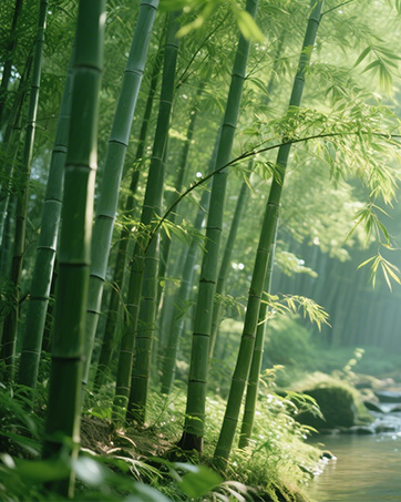 bluetooth sleep headphones