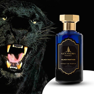 Amazon.com : Alexandria Fragrances Black Panther Perfume - Long Amazon.com : Alexandria Fragrances Black Panther Perfume - Long