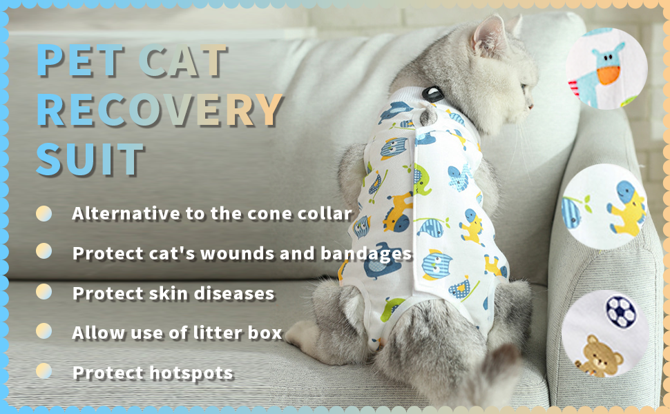 Cat Professional Recovery Suit for Abdominal Wounds or