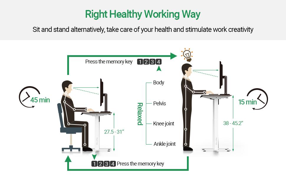 HisoHu Electric Height Adjustable Standing Computer Desk
