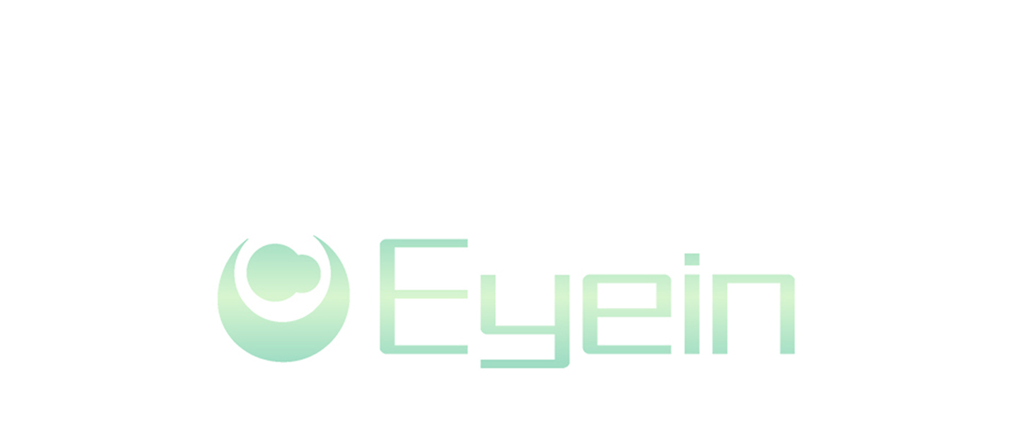 Eyein Dog Boots Paw Protector - Waterproof Dog Shoes for Rainy Winter Snowy Day, Non-Slip Dog Shoes with Reflective Strip for Injured Paws, Dog Walking Boots for Small Medium Large Dogs(2pcs 10 eyein