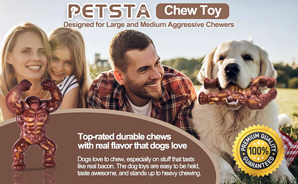 dog toys for aggressive chewers