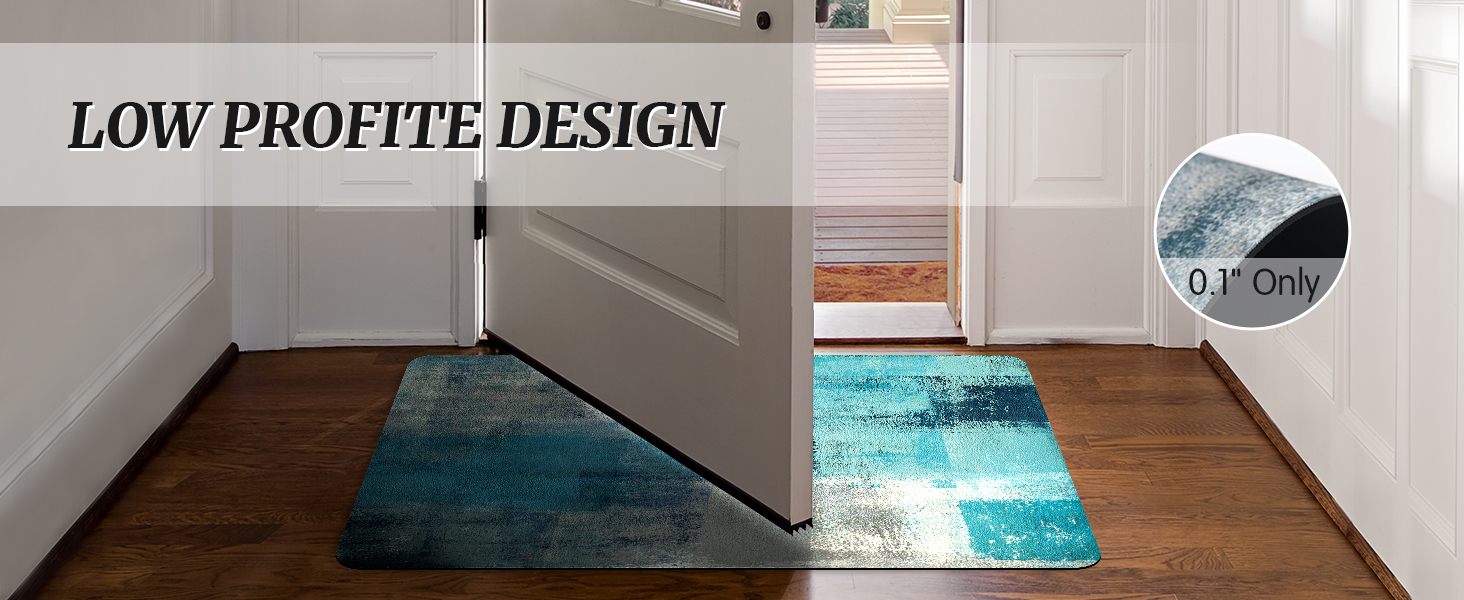 MAYHMYO Indoor Door Mat Teal Kitchen Rugs Mat Front Door