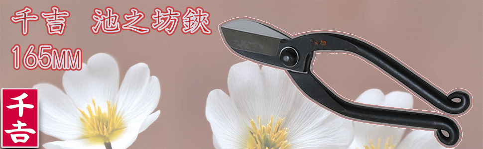Amazon | 千吉 池之坊鋏 本鍛造 165mm | 園芸用はさみ