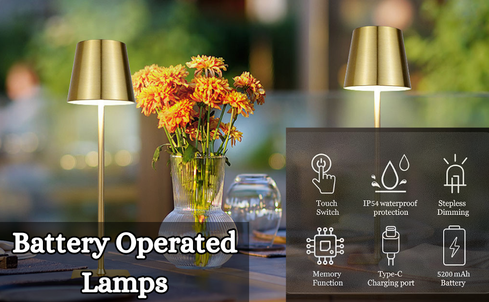 3 Color LED Battery Operated lamp with Touch Control