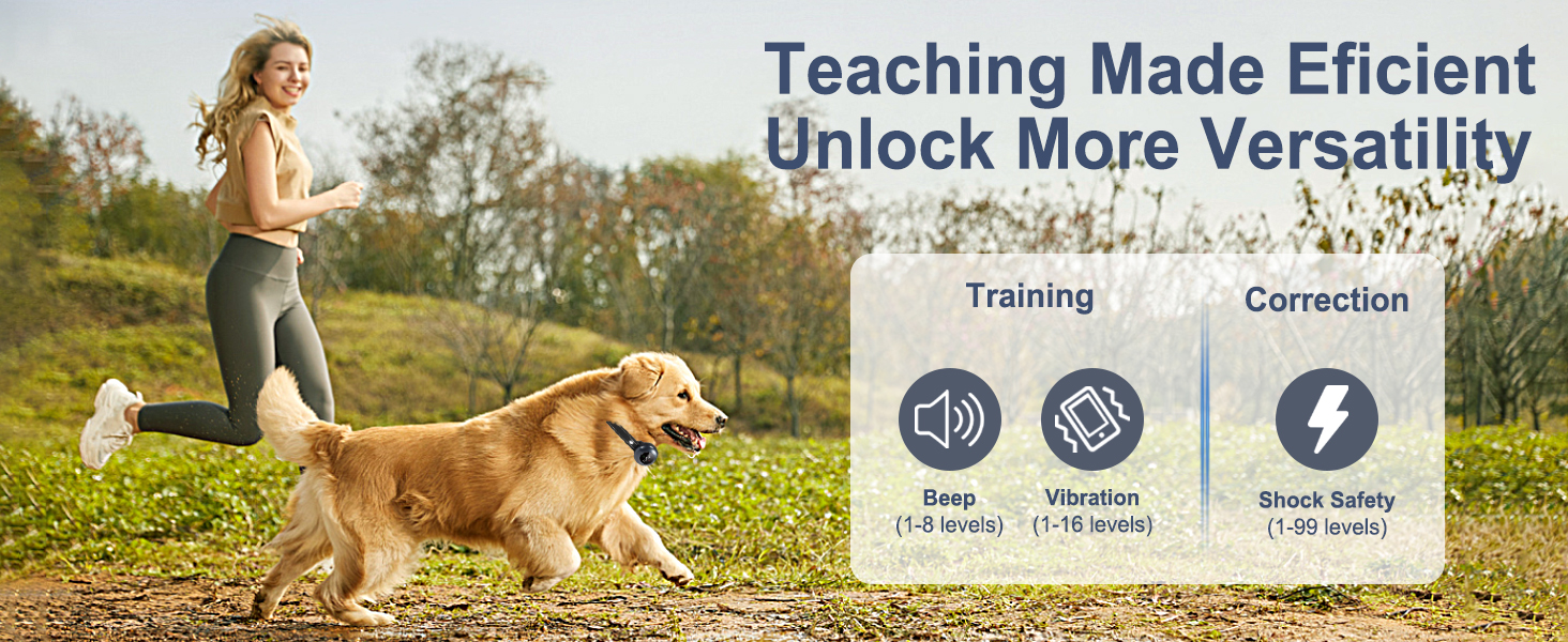 dog training collar with remote