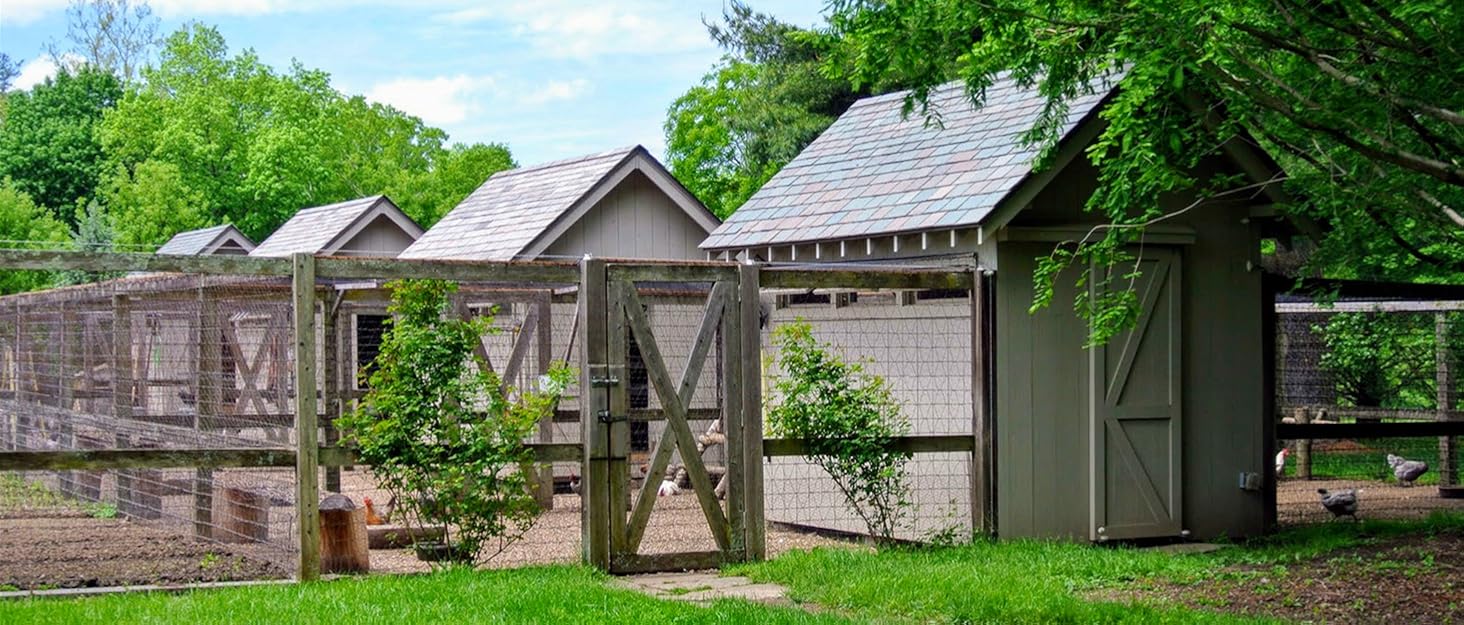 Bird Netting for Chicken Coop 50x50ft Chicken Netting