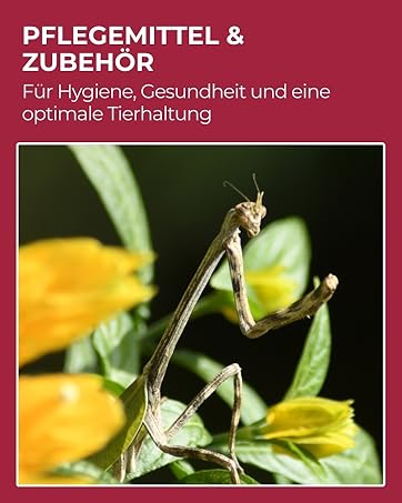 Pflegeprodukt