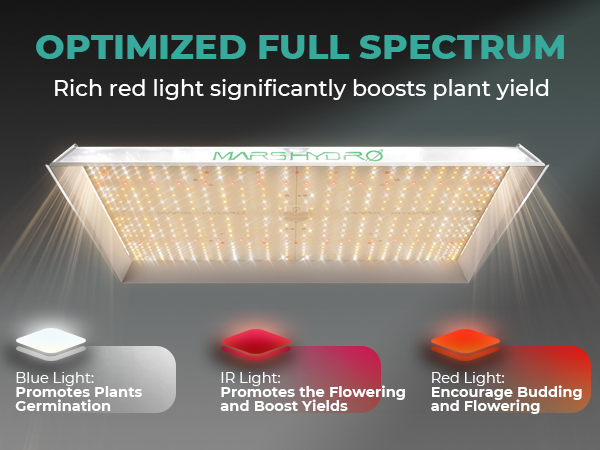Amazon.com : MARS HYDRO TSW2000 Led Grow Light 300 Watt Dimmable