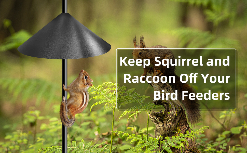 Squirrel Baffle for Bird Feeder Pole 1