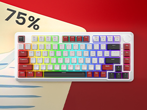 Gaming Keyboard
