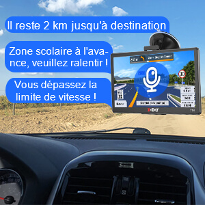 gps poids lourds professionnel